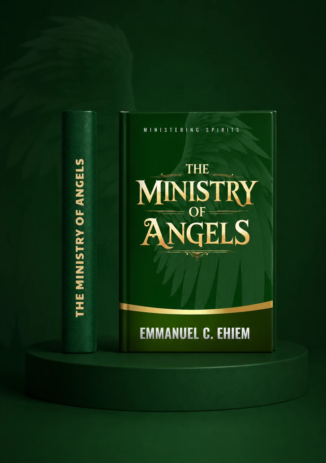 The Ministry of Angels book cover