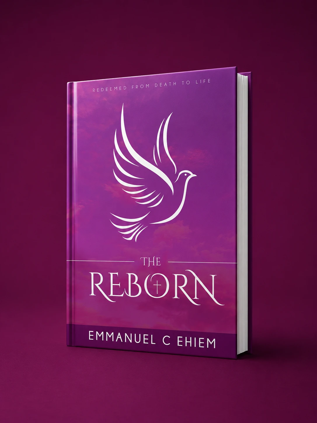 The Reborn book cover